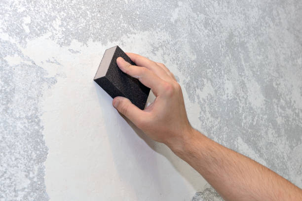 Best Environmental Consulting for Mold Prevention  in Eutaw, AL