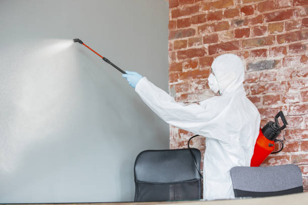 Best Mold Removal for HVAC Installations  in Eutaw, AL