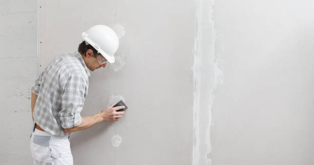 Reliable Eutaw, AL Mold Removal Solutions