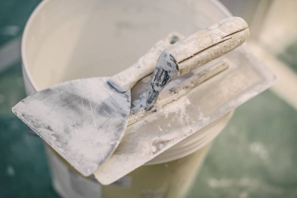 Best Asbestos and Lead Testing During Mold Inspection  in Eutaw, AL